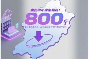 惠州中小卖家福音!800美元免税取消后,云仓代发如何保住利润空间?