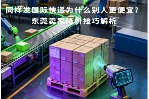 同样发国际快递为什么别人更便宜?东莞卖家降价技巧解析